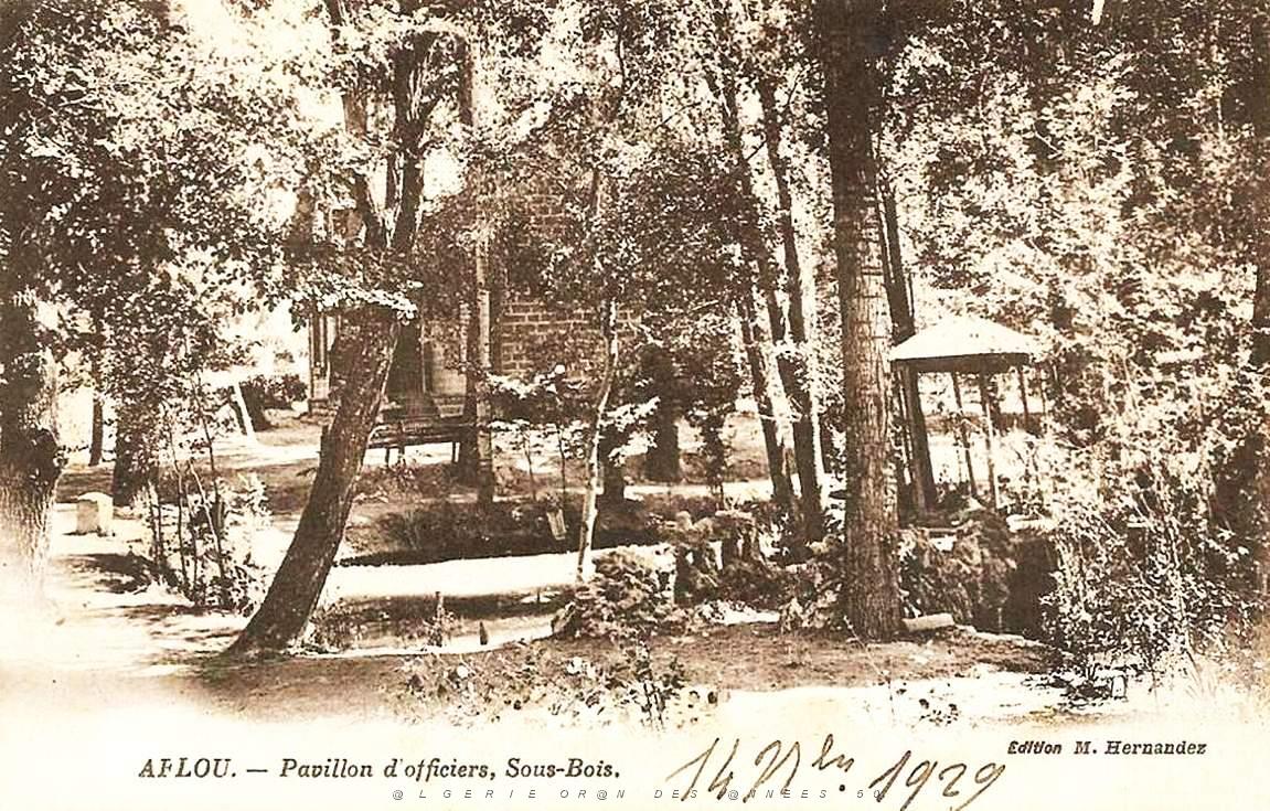 Aflou 709.jpg